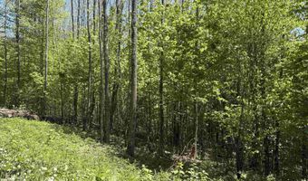 Bear Hill Road, Brookfield, VT 05036
