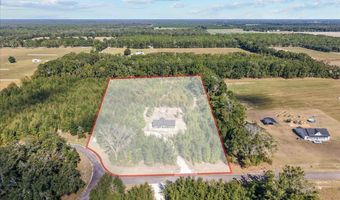 4906 36th St, Bell, FL 32619