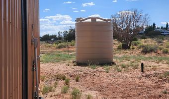 1483 County Road 5270, Concho, AZ 85924