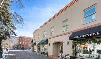 447 E Cooper Ave 1, Aspen, CO 81611