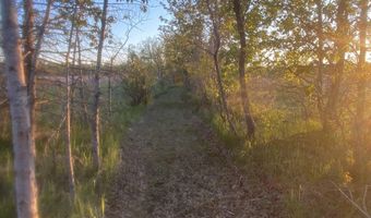 1205 Partridge Point Rd, Alpena, MI 49707