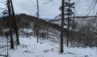 1820 Babbs Mill Rd, Afton, TN 37616