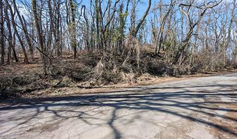 Mill Street, Albion, MI 49224
