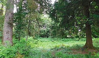 Knappa Dock Rd, Astoria, OR 97103