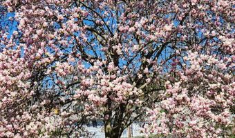 30 Grove Pl, Danbury, CT 06810