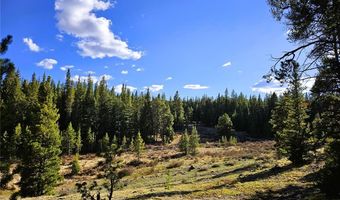 PCS # 7765 & 12057 Rollies Trail lot 0, Alma, CO 80420