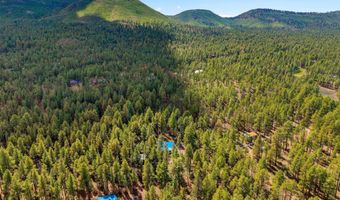 2 County Road 2081, Alpine, AZ 85920