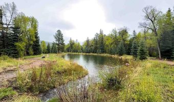 455 River Ranch Rd, Bayfield, CO 81122