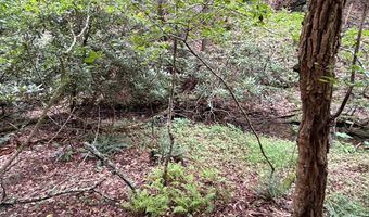 Hall Hollow Road, Austinville, VA 24312