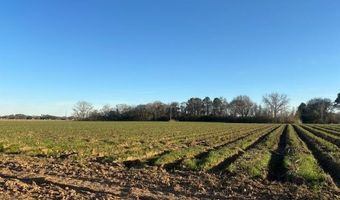 S Hospital Drive, Abbeville, LA 70510