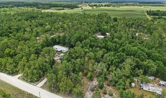 3210 50th St, Bell, FL 32619
