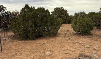 31 County Road 3044, Concho, AZ 85924