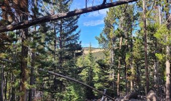 Tbd Smokey Mountain Drive, Anaconda, MT 59711