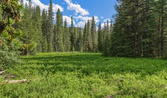 383 Red Lion Rd, Anaconda, MT 59711