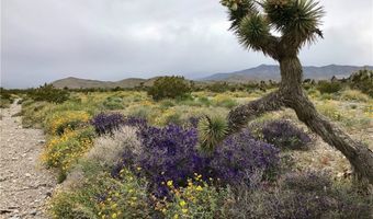 4 Camp Bonanza Rd, Cold Creek, NV 89124