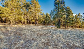 66 Mora Ranch Rd, Angel Fire, NM 87710