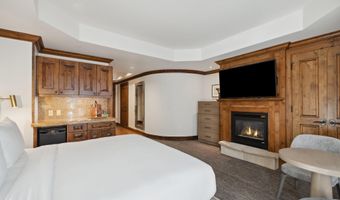 415 E Dean Unit 44a Week 9, Aspen, CO 81611