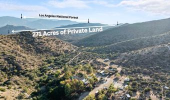32901 Hawley Rd, Acton, CA 93510