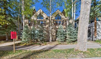 914 E Cooper Ave, Aspen, CO 81611