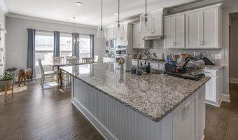 3331 Grassy Fields Ln, Apison, TN 37302