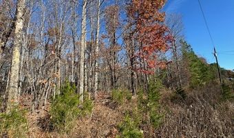 Chestnut Grove Road, Appomattox, VA 24522