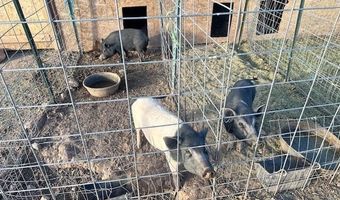 Triple H Ranch Road, Ash Fork, AZ 86320