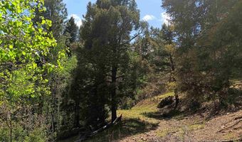 Lot 1380 Santo Domingo Tail, Angel Fire, NM 87710