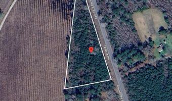 0 Ten Acre Rd, Andrews, SC 29510