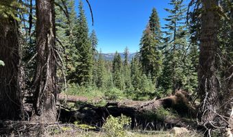 39 Liberty Rd, Arnold, CA 95223