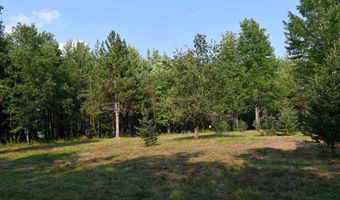 9537 LAKEVIEW Rd, Alanson, MI 49706