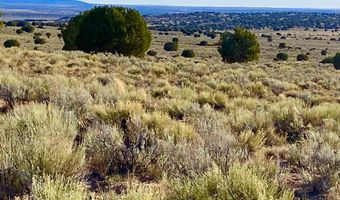 River Meadows Ranch Unit 3 Lot 204, Concho, AZ 85924