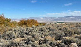 700 Davis Meadow Trl, Dyer, NV 89010