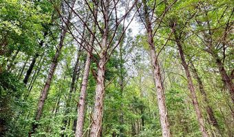 00 County Road 107, Ariton, AL 36311