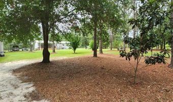 786 Blackberry Rd, Baconton, GA 31716