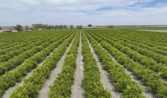 4617 Road 42, Alpaugh, CA 93201