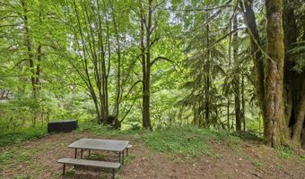 10235 RIDGE VIEW Ter, Birkenfeld, OR 97016