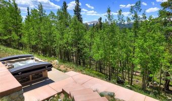1453 PONDEROSA Rd, Alma, CO 80420