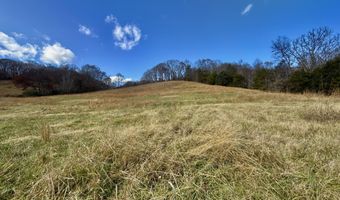 1520 Brittontown Rd, Afton, TN 37616