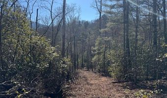 1834 Bristol Ave, Andrews, NC 28901