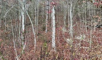 Kimiko Lane lot 43, Balsam Grove, NC 28708