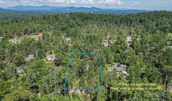 17 Park Rd, Asheville, NC 28803