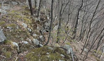 493 Wheeler Mountain Rd, Barton, VT 05822