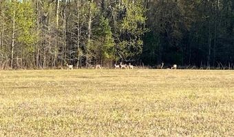 0 E SHIRE Dr, Berlin, MD 21811