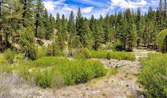 Napias Lot 4, Boise, ID 83716