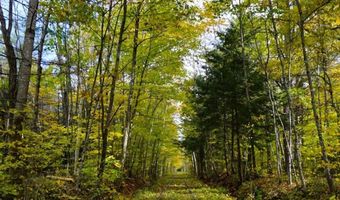 Garney Road 4, Brookfield, NH 03872