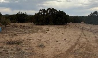 31 County Road 3044, Concho, AZ 85924