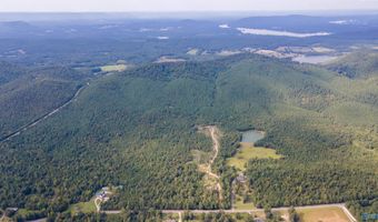 10675 29 Acres Shoal Creek Rd, Ashville, AL 35953