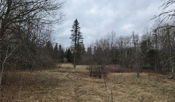 L4 B3 288th Avenue NW, Baldwin Twp., MN 55398