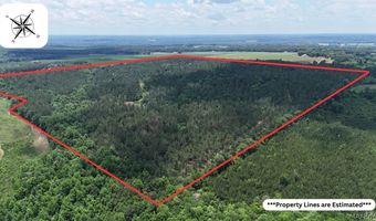 154 County Road 38 Acres, Banks, AL 36005