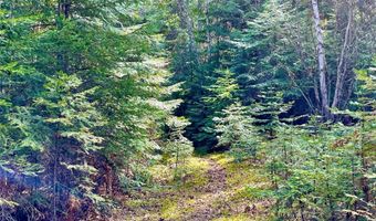 13818 Crystal Creek Ln, Bigfork, MT 59911